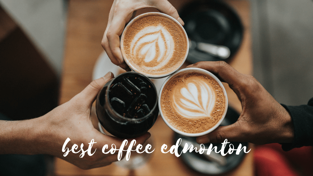 Best Coffee in Edmonton