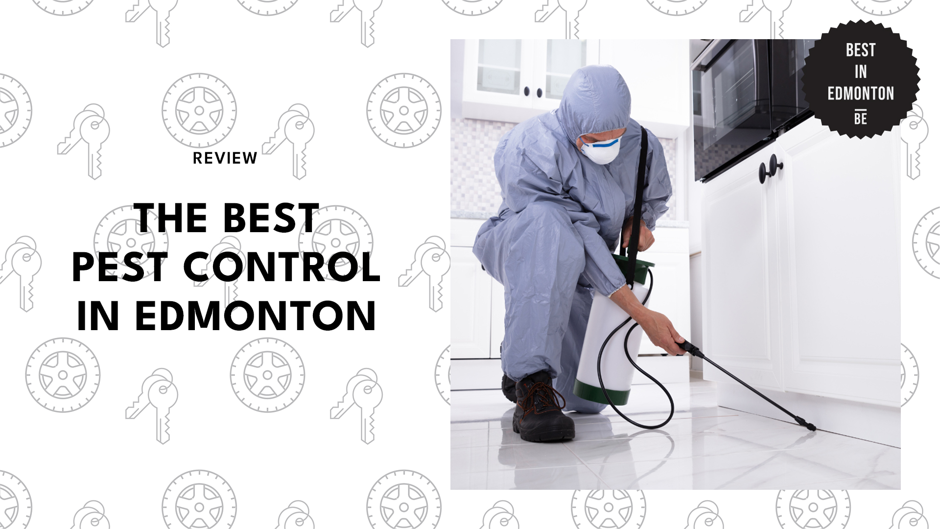 best-pest-control-edmonton