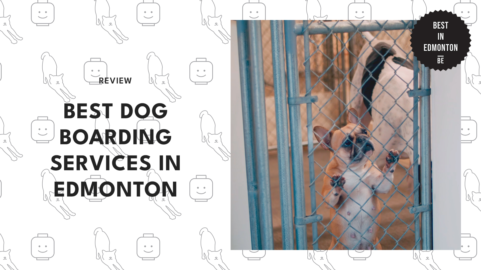 best-dog-boarding-edmonton