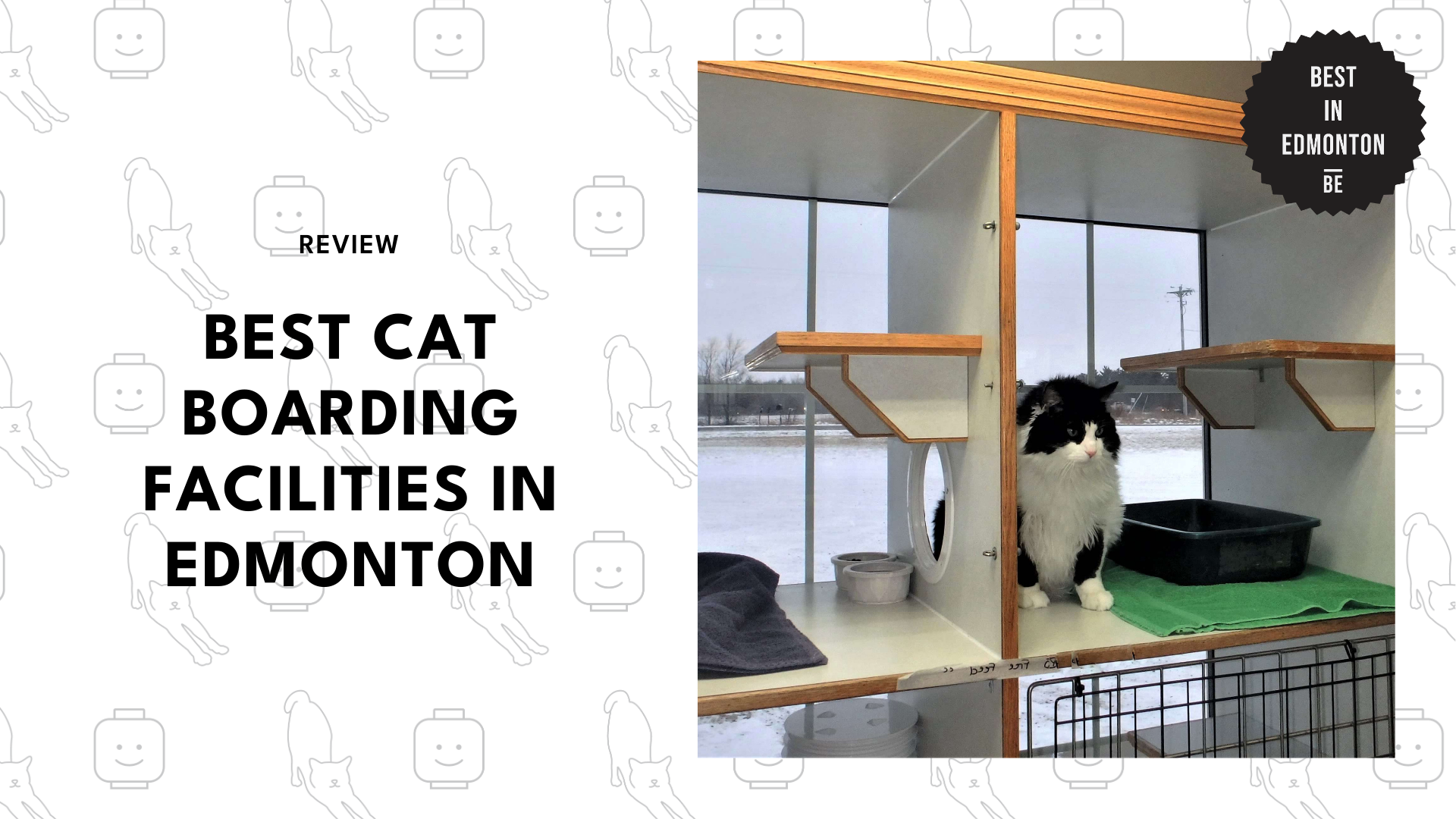 best-cat-boarding-facilities-edmonton
