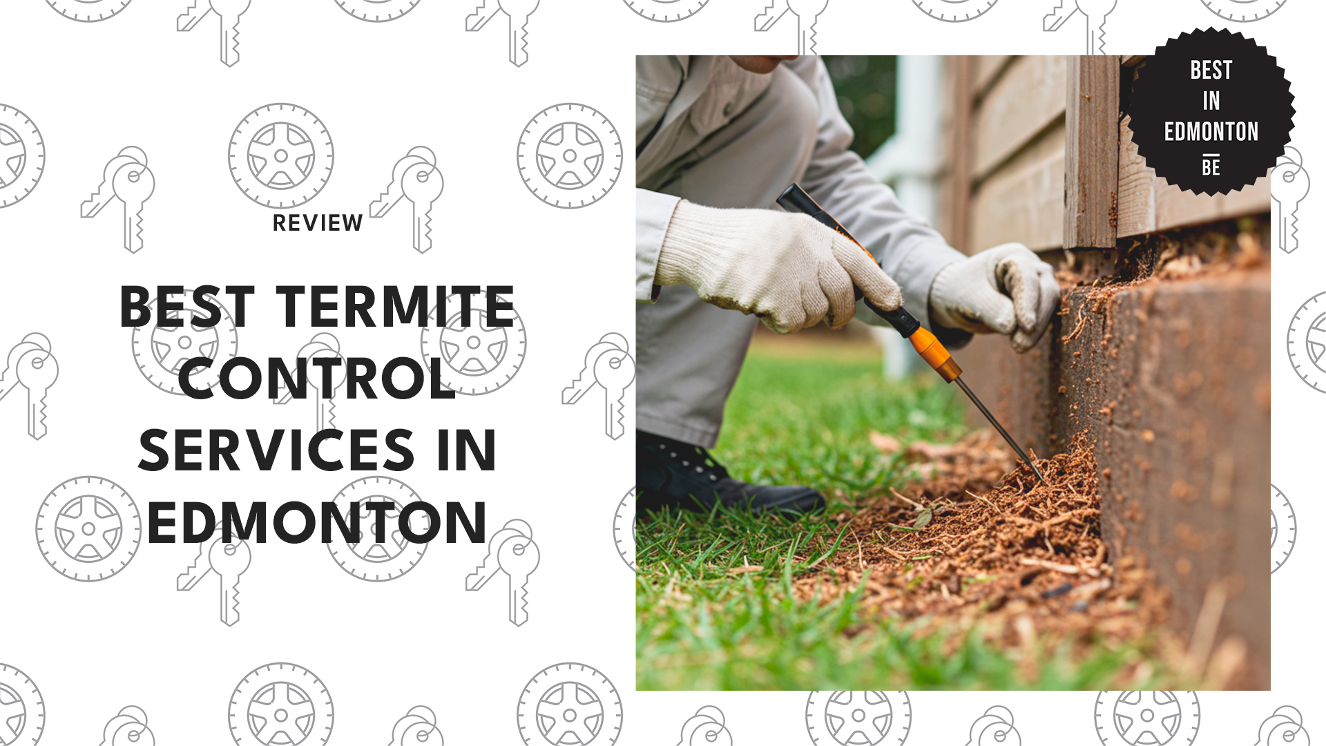 best-termite-control-services-edmonton